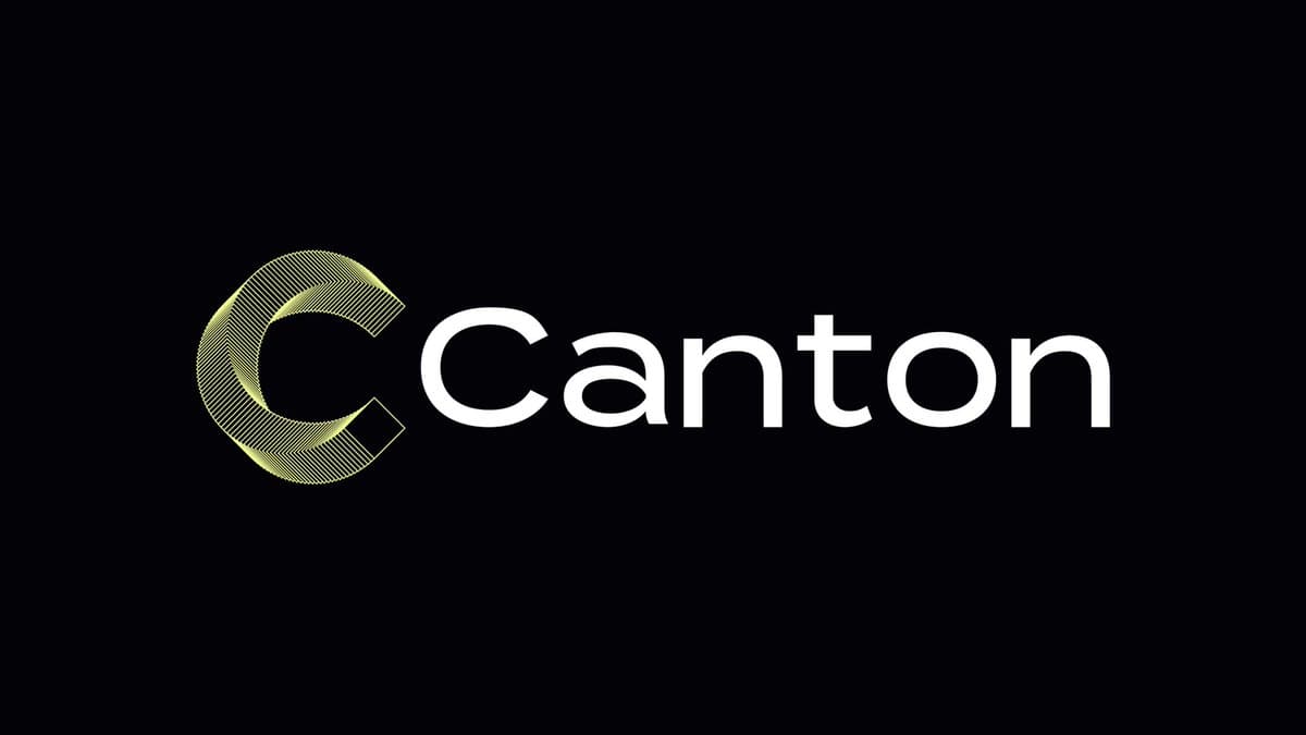 CC Holds Steady at $0.139–$0.147 as Institutional Momentum Builds
