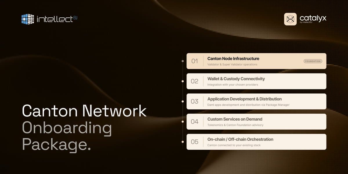 CatalyX Offers DTCC Tokenization Onboarding For Canton