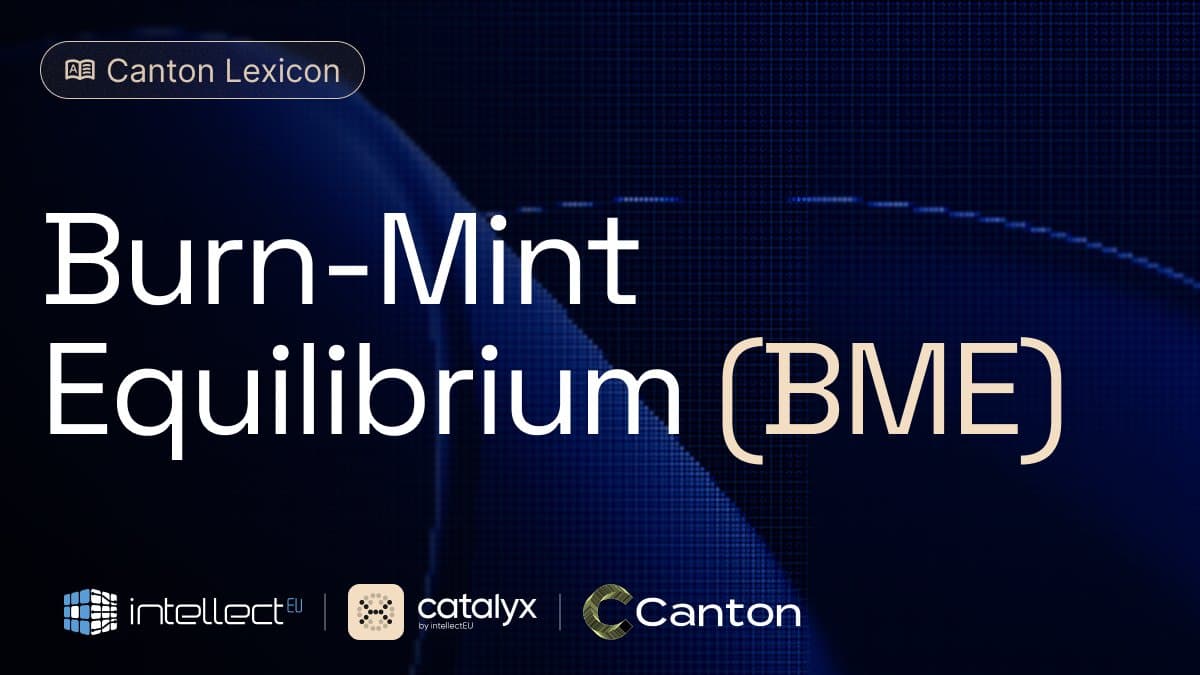 CatalyX Explains Canton Burn-Mint Equilibrium