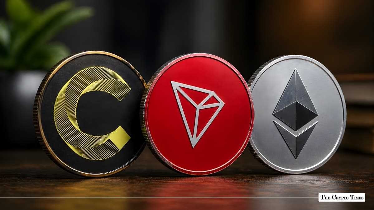 Canton Tops Chain Revenue Rankings, Ahead of Tron and Ethereum