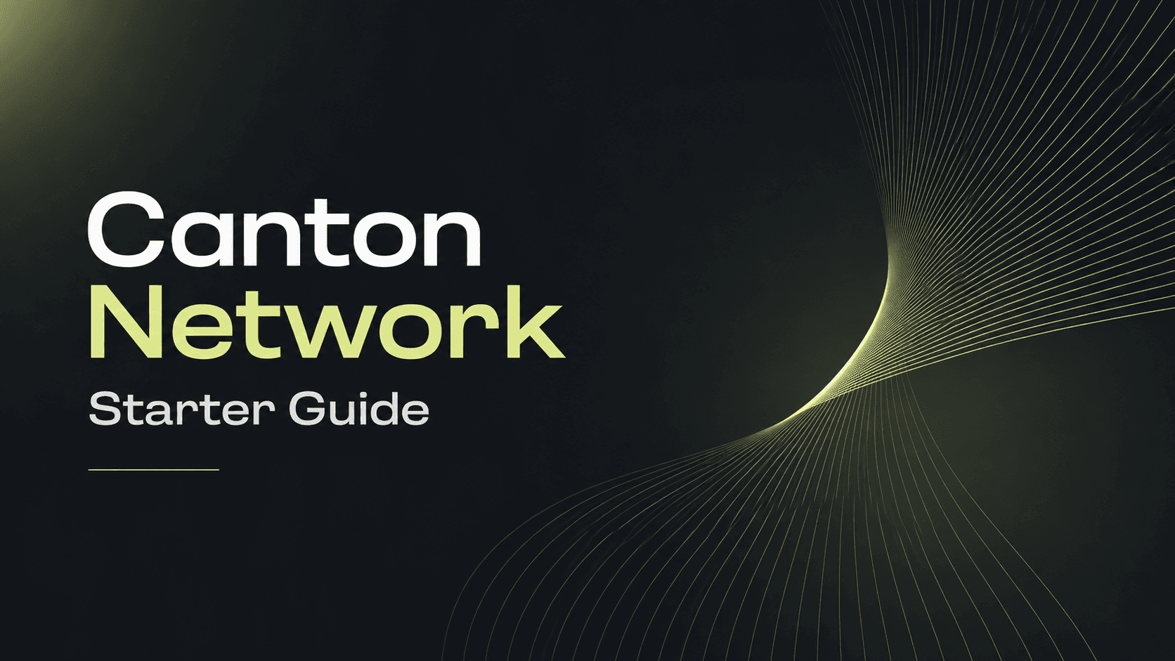 Canton Network Starter Guide